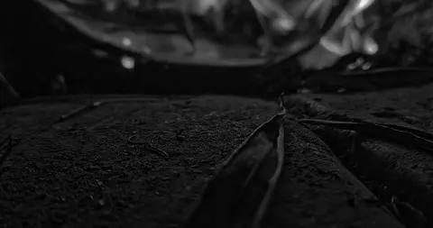 木心先生的冷清與風火，纔是成年人最頂級的活法