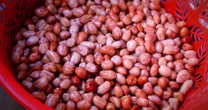 多項研究發現：花生與血管息息相關！怎麼喫、喫多少，今天告訴你