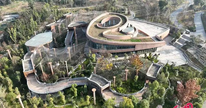 “雙寶”同園：成都大熊貓基地金絲猴館正式開放