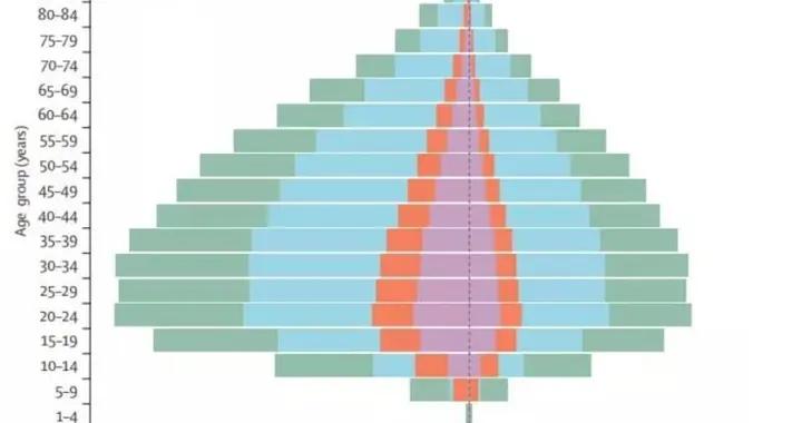 寒假在家，陪女兒一起看5部紀錄片，告別敏感內耗，養出強大內核