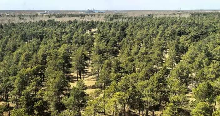 加州理工翁玉林團隊證實，塔克拉瑪干沙漠正向全球碳匯轉型