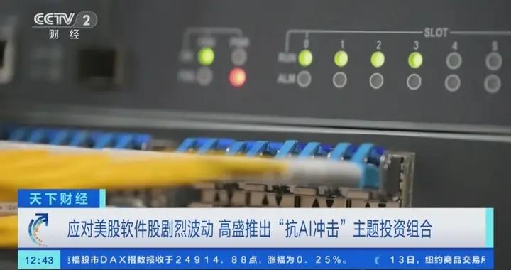 應對美股軟件股劇烈波動 高盛推出“抗AI衝擊”主題投資組合