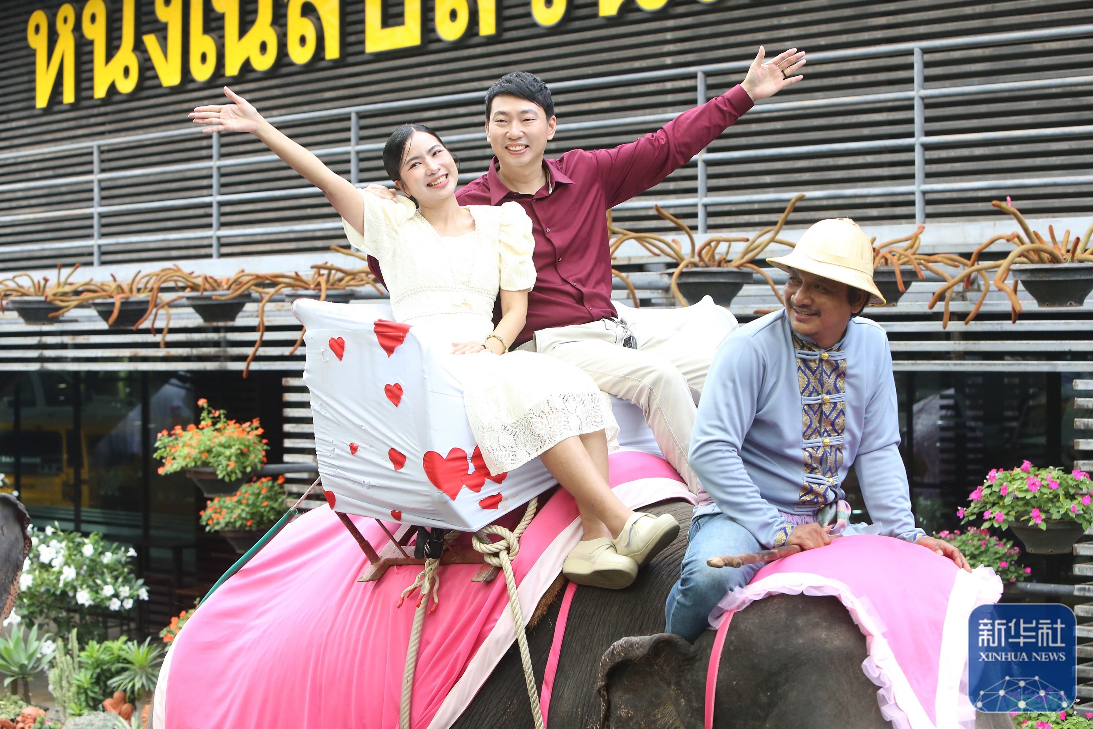 泰國芭堤雅：象背婚禮