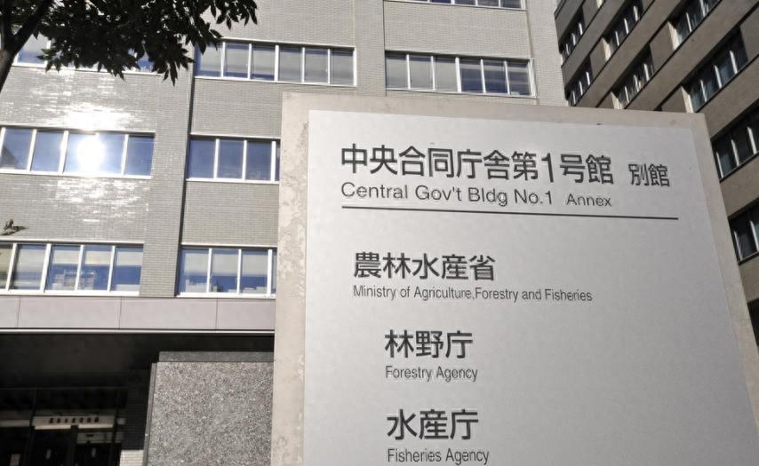 日方釋放被捕中國船員，外交部：正協助安全返回