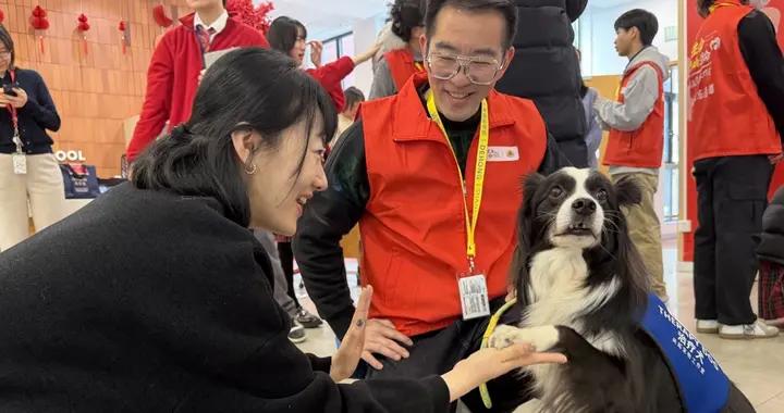 “治療師”貓狗“持證上崗”：專業動物療愈賦予特殊人羣生活力量