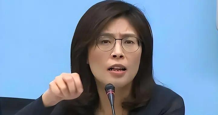 鄭麗文和盧秀燕發生衝突，鄭麗文說欲速則不達，黃國昌大罵民進黨