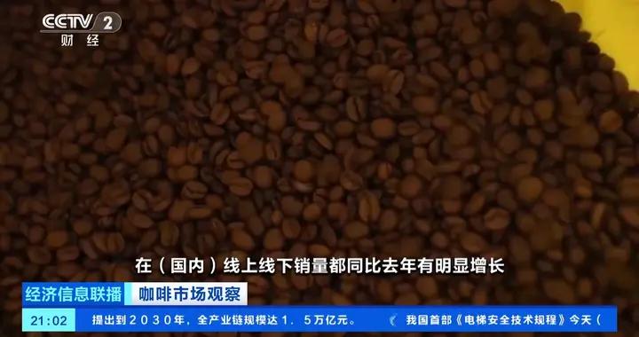 雲南咖啡豆價格“倒掛” 出口企業紛紛轉內銷