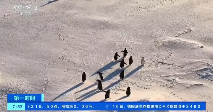 在南極過年是一種什麼體驗？直擊南極升騰的年味兒→