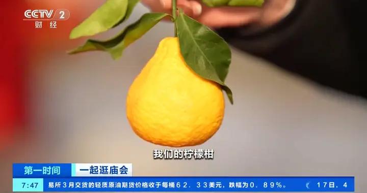 已促成項目簽約184億元！四川成都“村糖”會人氣旺