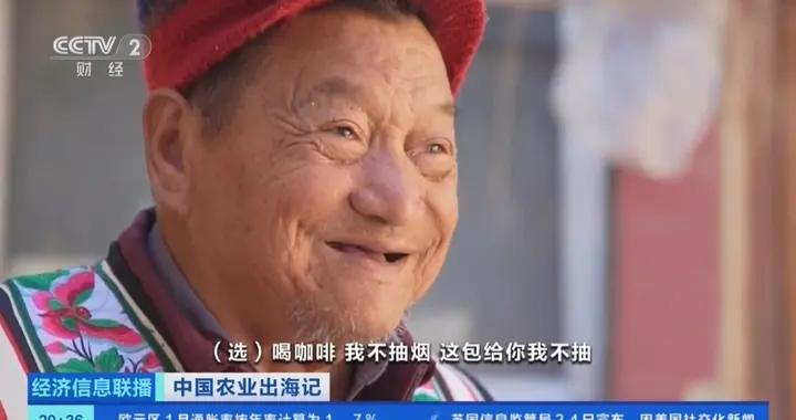 尋豆師追香而來、老樹新生，雲南咖啡如何讓世界愛上“中國味”？