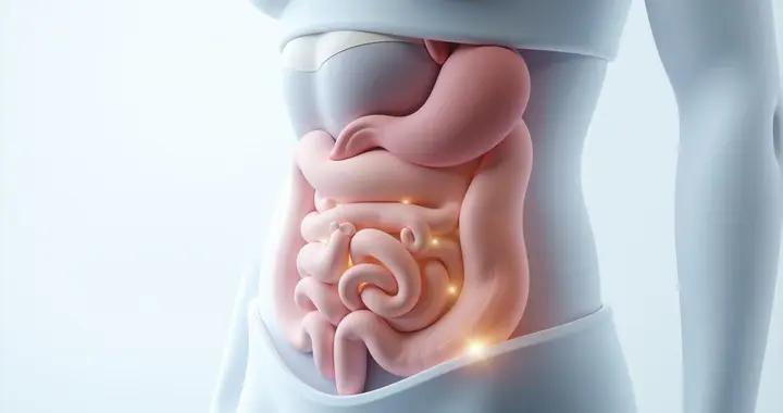 腸道益生菌：守護腸道健康的“隱形衛士”