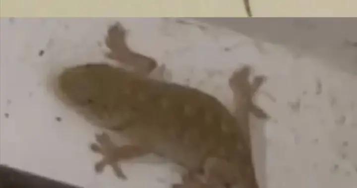 爲什麼我們就是無法說服老人扔東西