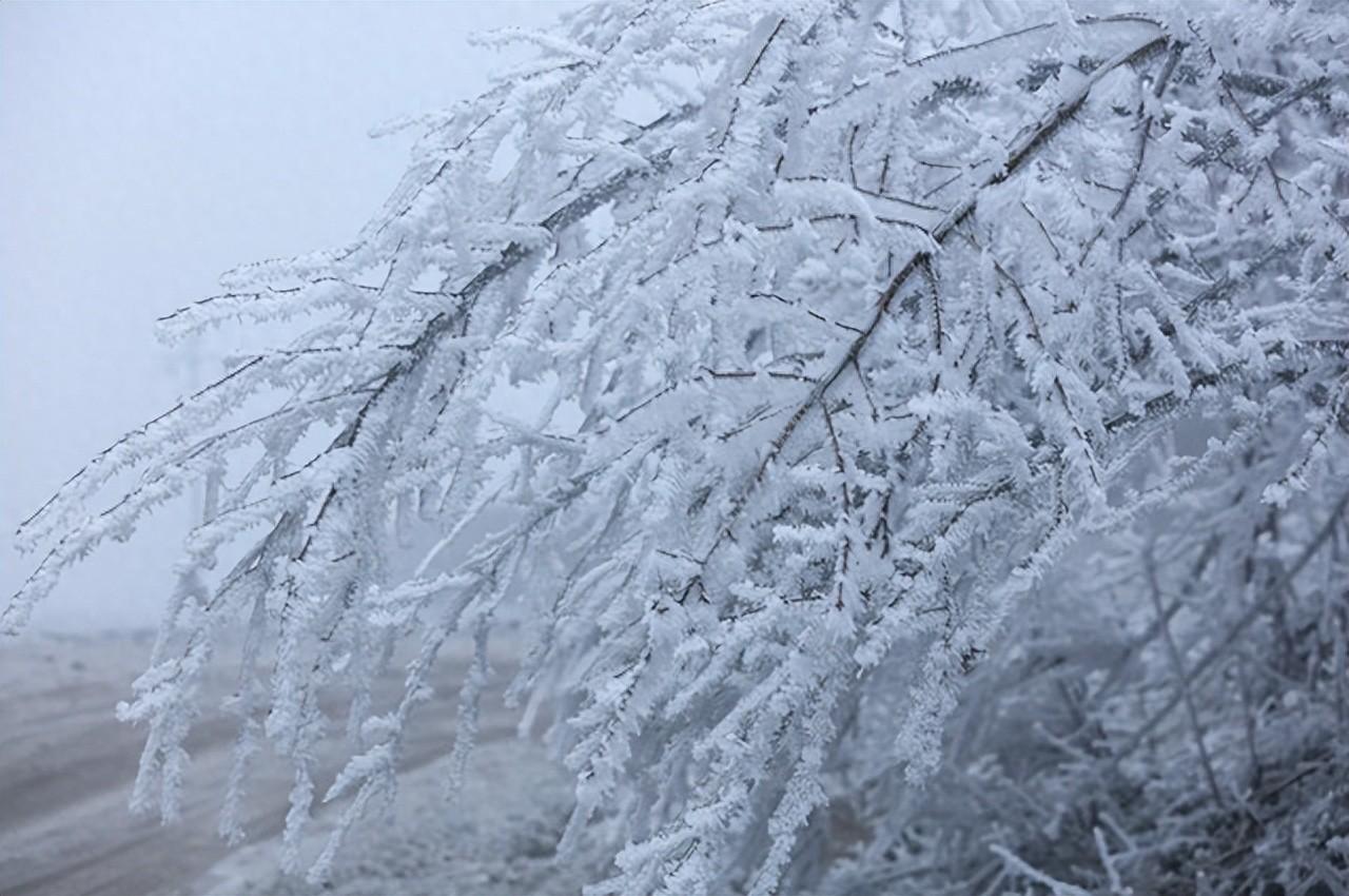 中央氣象臺發佈寒潮、大風、沙塵暴預警：黑龍江、吉林等地有大到暴雪，河南、安徽、湖北、湖南、重慶等地有中到大雨