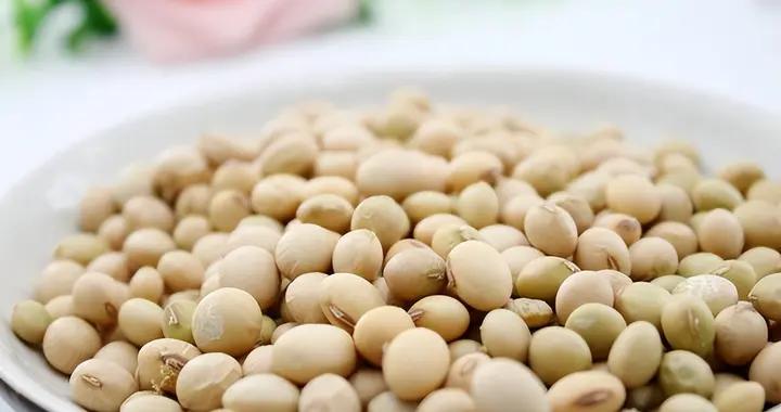 白細胞少易生病？多喫這幾類食物，幫你“喚醒”身體防禦衛士