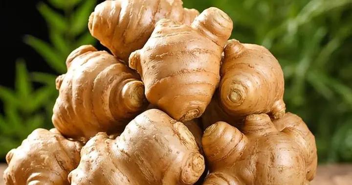 冬天，蓮藕山藥靠邊站，最該多喫它！脆嫩爽口，簡單一炒真香！