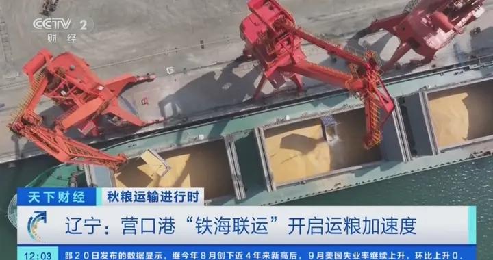 秋糧運輸火熱進行中！遼寧營口港“鐵海聯運”開啓加速度