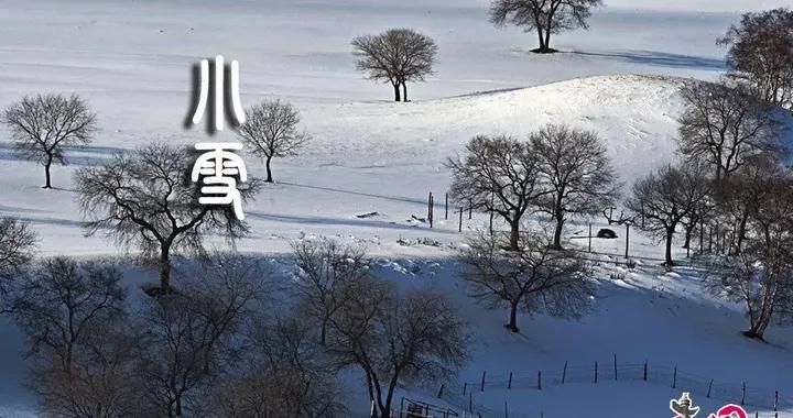 小雪節氣：十種養生食物禦寒提高免疫力