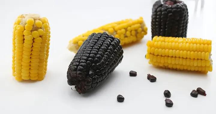 補維生素B不用愁！這些常見食物含量高，輕鬆喫夠